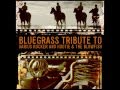 She's Beautiful - Bluegrass Tribute to Darius ...