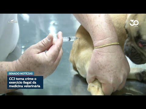 CCJ aprova projeto que torna crime o exercício ilegal da medicina veterinária