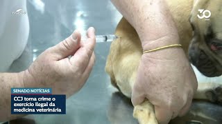 CCJ aprova projeto que torna crime o exercício ilegal da medicina veterinária