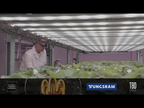 Tungsram: Illuminating a sustainable future
