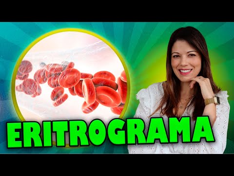 Eritrograma: o que todo nutri precisa interpretar para a prescrição