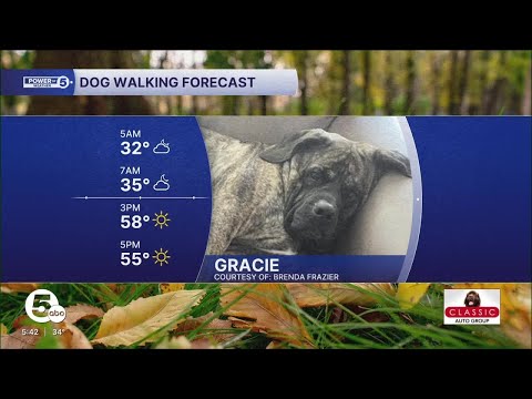 Meet Gracie! - YouTube