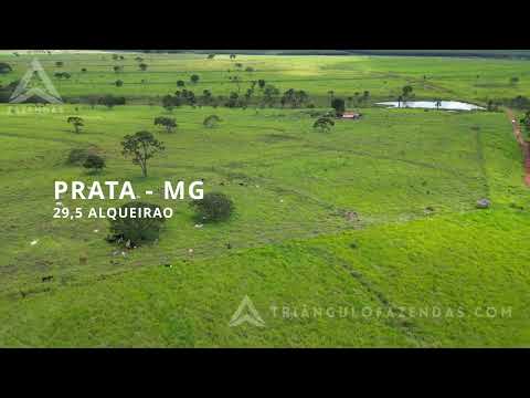 Fazenda a Venda em Prata - MG - Triangulo Mineiro - Minas Gerais