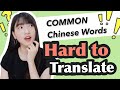3 Common CHINESE Words with No Direct ENGLISH Translations | 辛苦 撒嬌 / 撒娇 緣分