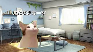 カレーを食べたくなった話【猫ミーム】#猫ミーム #猫ミーム日常