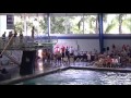 2016 AAU National Championship Dive Meet