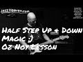 Oz Noy *Guitar Lesson* Magic of Half Step Up & Down JAZZHEAVEN.COM Excerpt