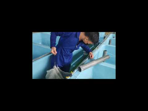 UKK 2021 AP - AGUS SAPUTRA