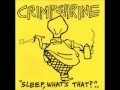 Vidéo Sleep, what's that? (audio) de Crimpshrine