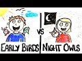Early Birds vs Night Owls 