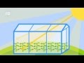 What is the greenhouse effect? | Global Ideas