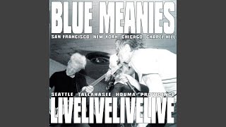 Polka In The Eye (live)