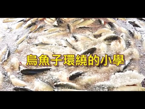 點亮希望/偏鄉兒童生命故事19【金湖國小~烏魚子環繞的小學】