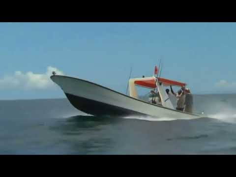 Celtas Cortos - Blues del pescador (Fisherman´s blues) ♪ ♫