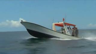 Celtas Cortos - Blues del pescador (Fisherman´s blues) ♪ ♫
