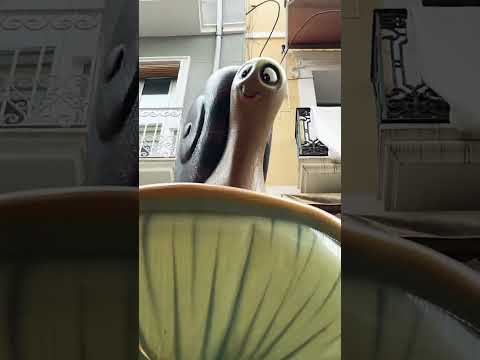 #short #alicante#spain