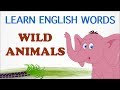 Wild Animals Pre School Learn English Words Spelling Video For Kids And Toddlers