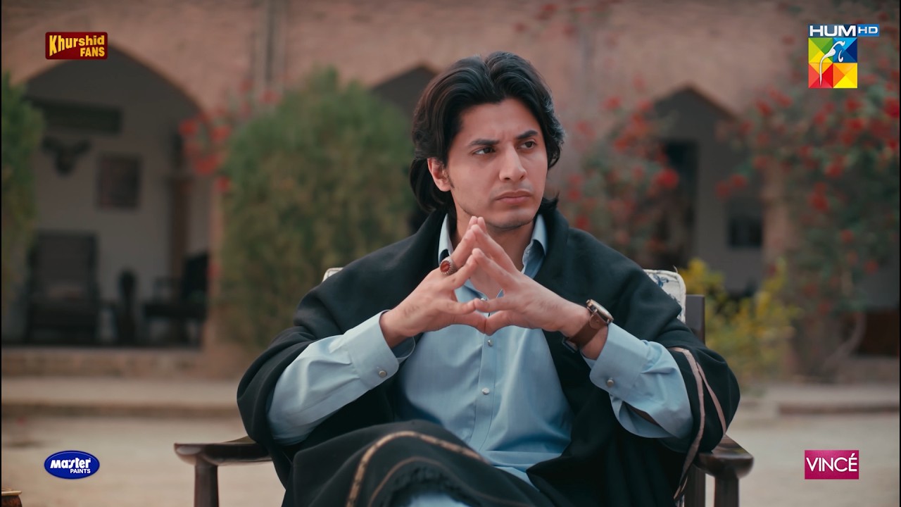 Aik Bhai Ne Dusry Bhai Ke Khelaf Jirga Betha Deya..! #sajalaly #danyalzafar | Zanjeerain