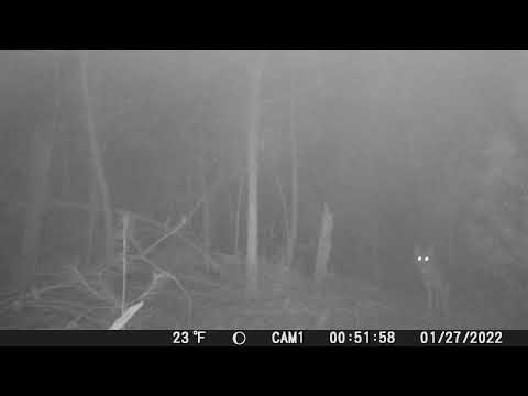 CAM1 01 27 2022 00 52 08