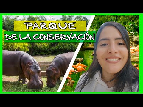 CONSERVATION PARK Medellín - Colombia (Santa Fe Zoo)