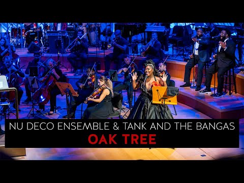 Nu Deco Ensemble and TankandtheBangas