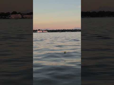 Río Amazonas o Solimões, Leticia Colombia, Tabatinga Brasil y Santa Rosa Perú