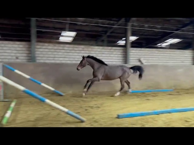 Jumping at home