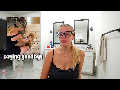 saying goodbye to my childhood dog of 17 years.