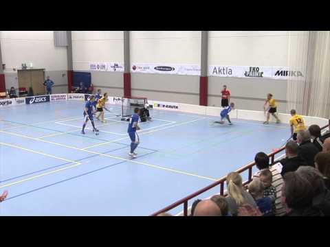 Blue Fox - Top Team la 17.11.2012.