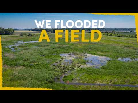 We Are Flooded
