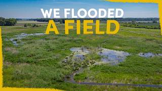 We flooded a field - the results blew our minds