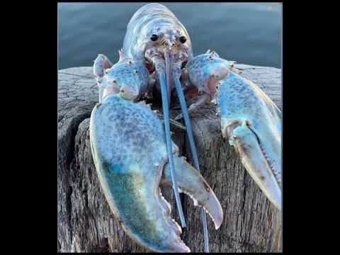 Blue - To My Surprise