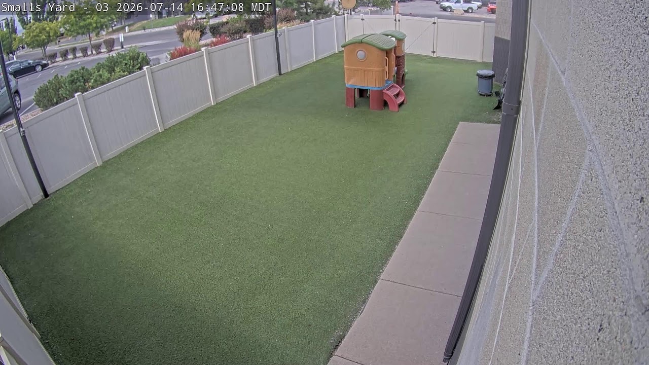 Live webcam view of DogMode Small Dog Play Yard