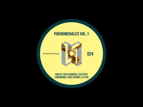 Acid Kit, Nico Guerrero - People Shaking (Original Mix)