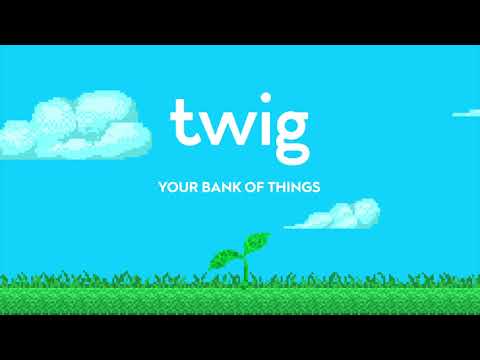Twig - Your Bank of Things video