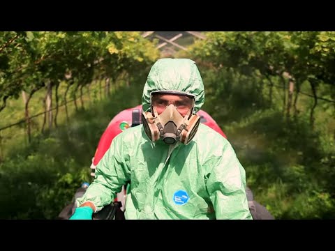 The Food Race - Pesticides, GMOs and Organic Farming on the Test