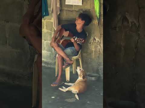 Dog is singing song with guitar tune😂😂