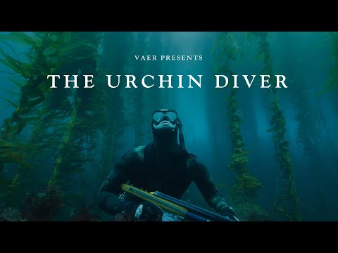 VAER Presents: The Urchin Diver
