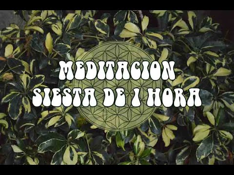 Meditación Guiada | Siesta de 1 Hora