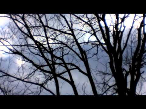 Nicko Vee - Dissolve (Original Mix) (official)