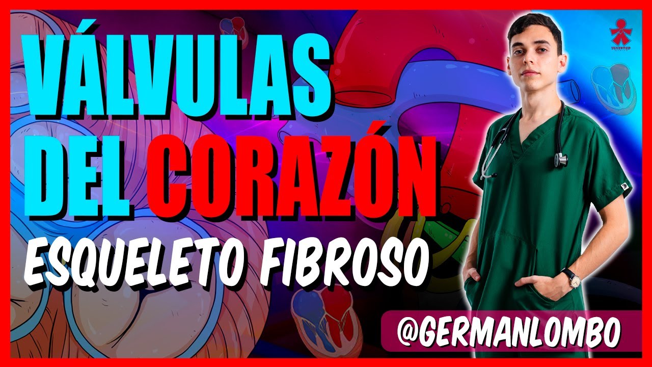 VÁLVULAS DEL CORAZÓN: Mitral, Tricuspide, Aortica, Pulmonar.
