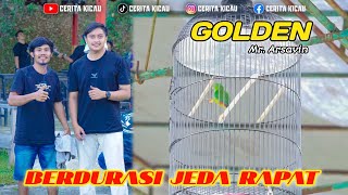 Download lagu SERINDIT GOLDEN BERDURASI DAN JEDA RAPAT❗️FINISH 1 LOSS DAN 2❗️BIRD CONTES SINGING IMR  mp3