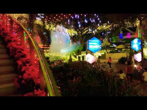 disney themed christmas lights show