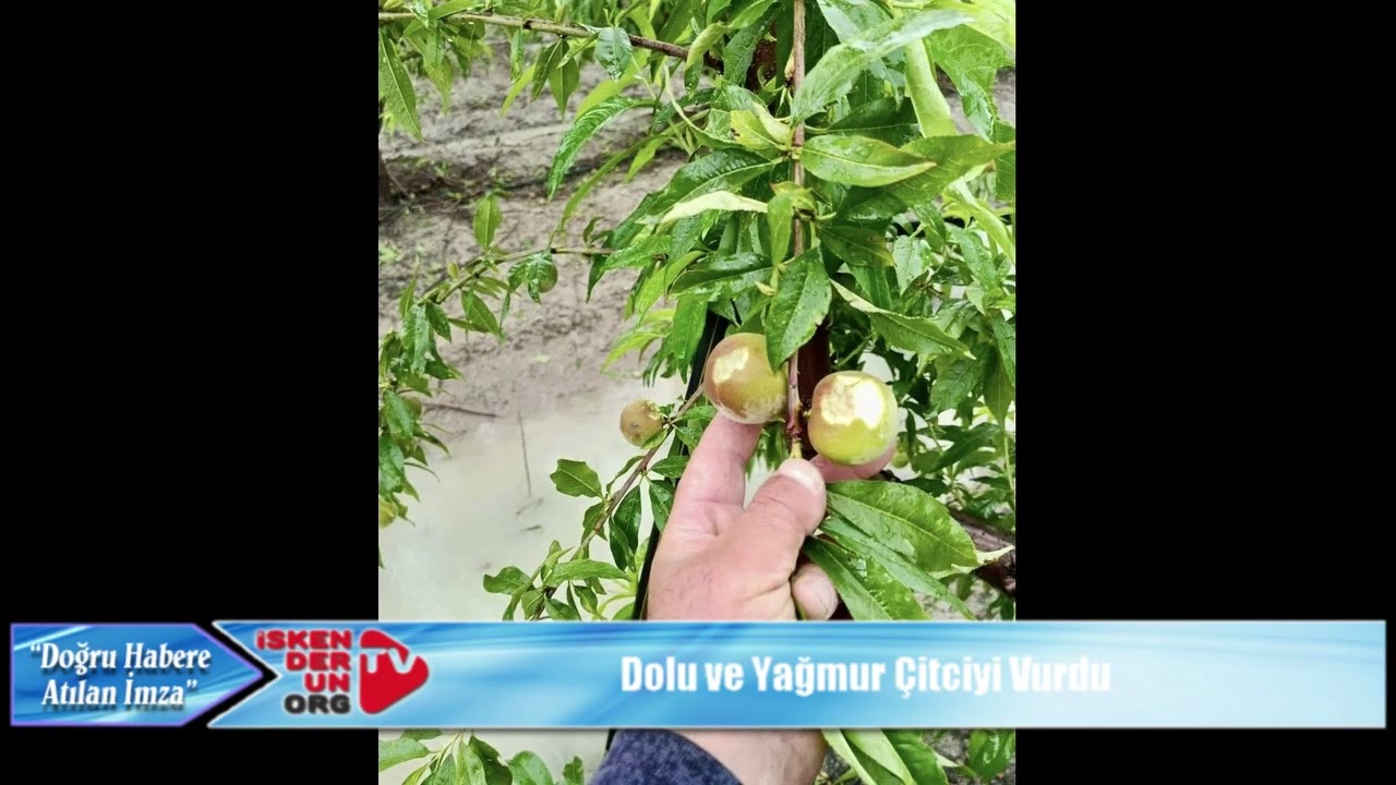 Dolu ve Selin Zararları Tespit Ediliyor