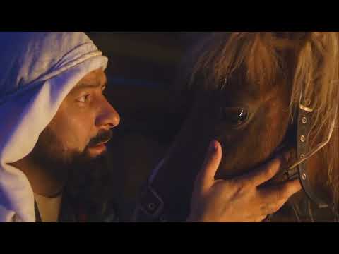 Learn Genesis 50 Chapters in 5 MINUTES!!! Bible Study