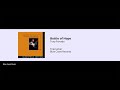 Tony Furtado - Bottle of Hope - Firecracker - 08