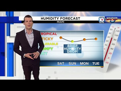 Local10News Weather :09/02/2023 morning edition