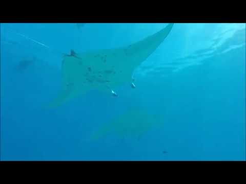 Oyster 72 'Consensus' sailing the South Pacific.