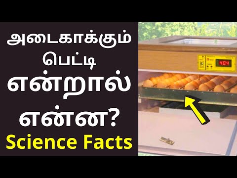 முட்டை அடைகாக்கும் பெட்டி என்றால் என்ன? | EGG Incubator Meaning in tamil | Science Facts 2021