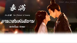 Download lagu [แปลไทย] 春满 - 井胧  ยามวสันต์ผลิบาน  ost. ปรปักษ์จำนน mp3